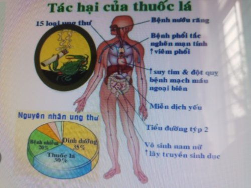 Ảnh hút thuốc lá.jpg