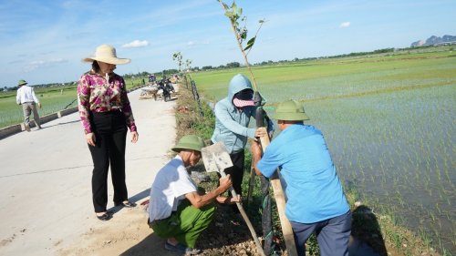 Ảnh trổng cây 10.jpg