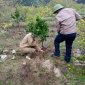 Xã Thái Hòa  phát động tết trồng cây đời đời nhớ ơn Bác Hồ đầu Xuân Nhâm Dần 2022      