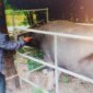Xã Thái Hòa tổ chức tim phòng cho đàn gia súc, gia cầm đợt 1 năm 2024 